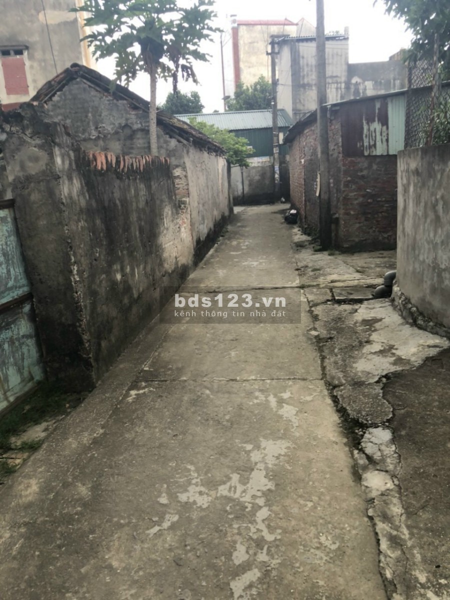 Con trai tôi Cần bán đất tại Cẩm Xá, Mỹ Hào, Hưng Yên diện tích 80m2, có sẵn pháp lý chính chủ
