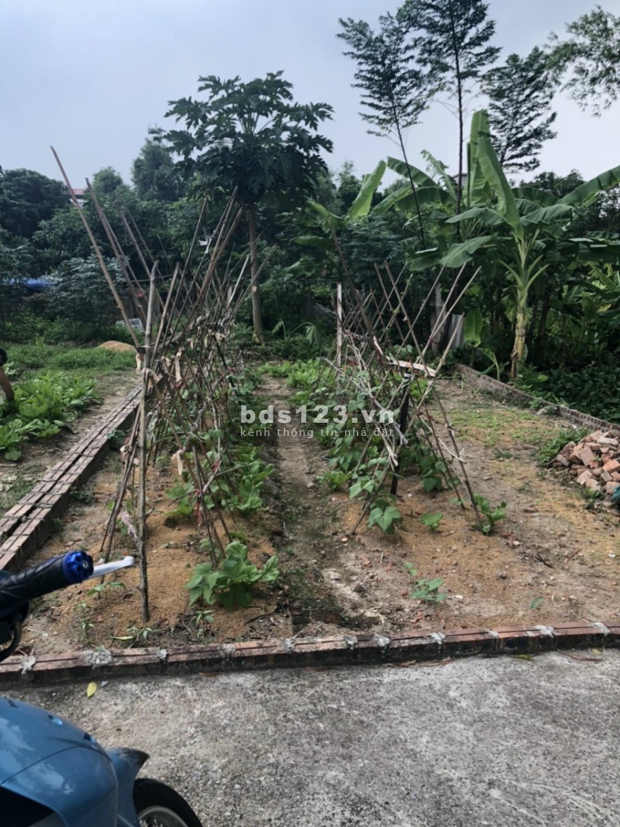 Con trai tôi Cần bán đất tại Cẩm Xá, Mỹ Hào, Hưng Yên diện tích 80m2, có sẵn pháp lý chính chủ