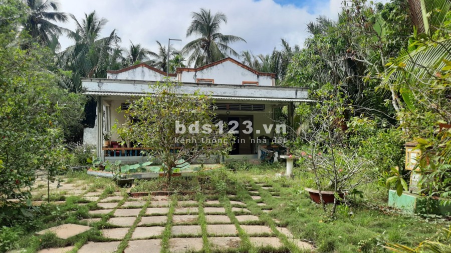Chính chủ bán gấp trước tết đất tặng nhà mặt tiền lộ bêtông tại xã Sơn Phú, Giồng Trôm, Bến Tre.
