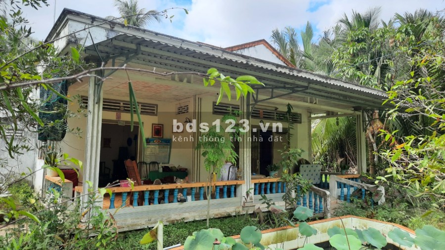 Chính chủ bán gấp trước tết đất tặng nhà mặt tiền lộ bêtông tại xã Sơn Phú, Giồng Trôm, Bến Tre.