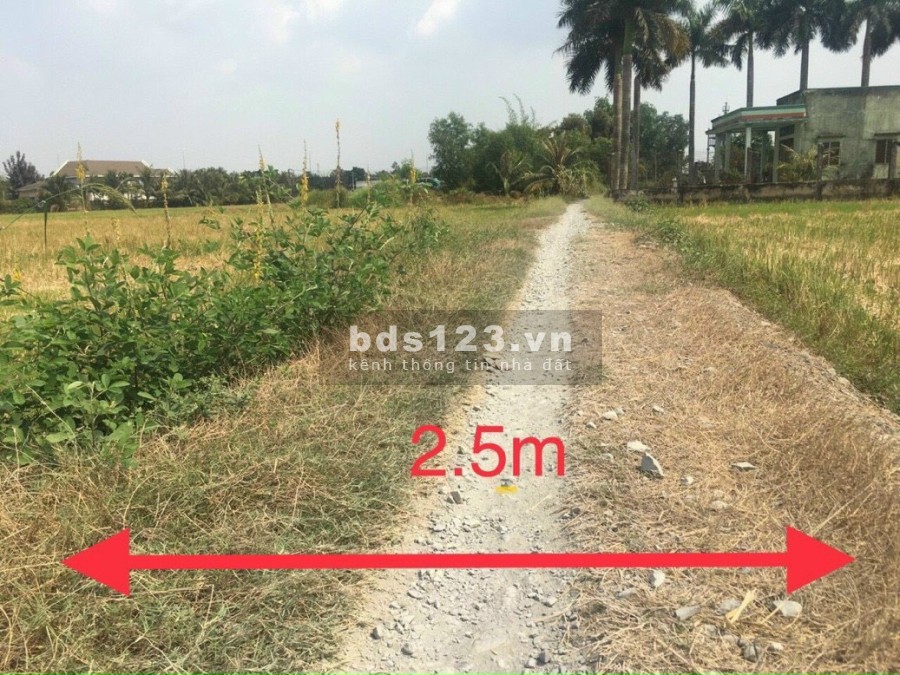 Chính chủ nợ nên cần bán gấp đất Long An giá ngộp 600 triệu thương lượng nhanh