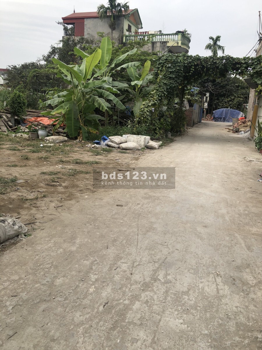 Bán lô đất đẹp 61m2 tại Quỳnh Hoàng, Nam Sơn, An Dương.