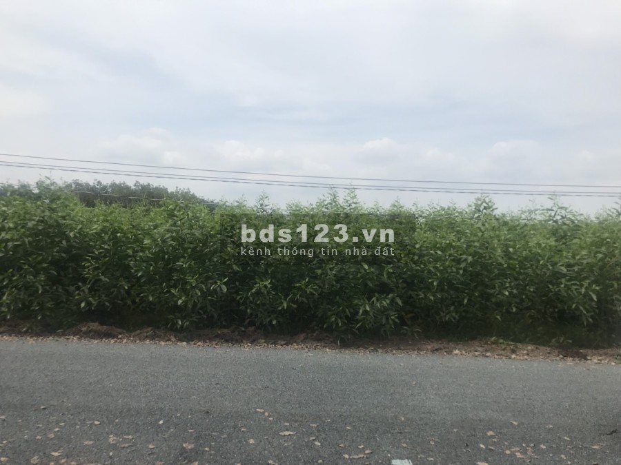 Quỹ đất 1.1ha, mặt tiền đường liên Xã Diên Đồng liên hệ, ngân hàng hỗ trợ vay, giá tốt