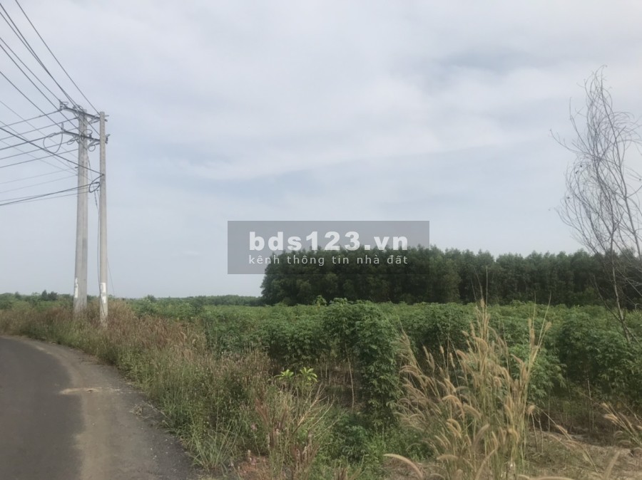 Quỹ đất 1.5ha, mặt tiền đường liên Xã Ninh Xuân, hổ trợ pháp lý tách thửa lh 0906831672