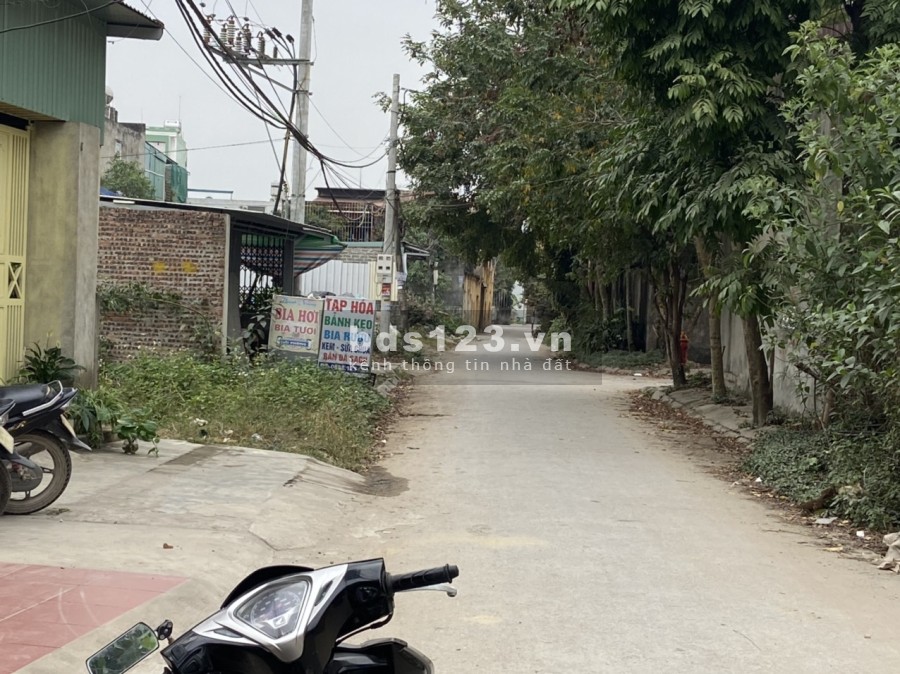 Bán lô đất đẹp 61m2 tại Quỳnh Hoàng, Nam Sơn, An Dương.