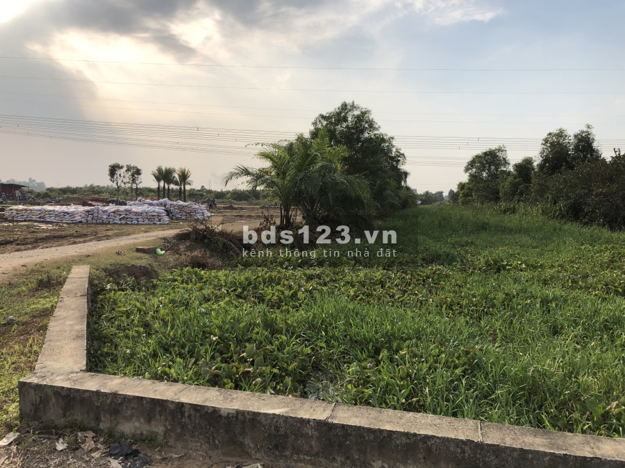 Đất Nền Trung tâm Khu Công Nghiệp Đức Hòa - Long An giá tốt đầu tư, hỗ trợ vay ngân hàng