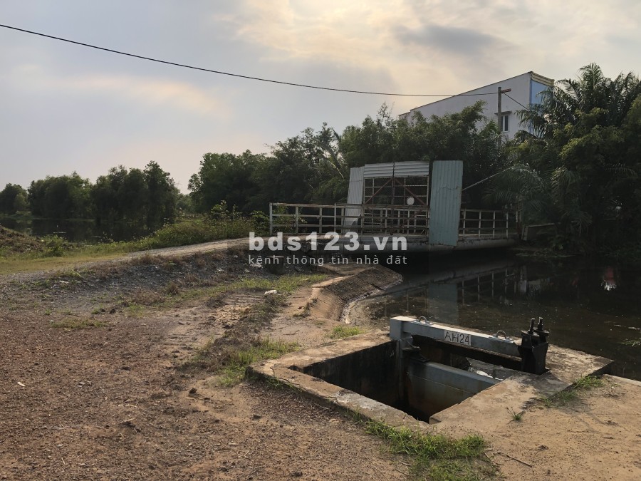 Đất Nền Trung tâm Khu Công Nghiệp Đức Hòa - Long An giá tốt đầu tư, hỗ trợ vay ngân hàng
