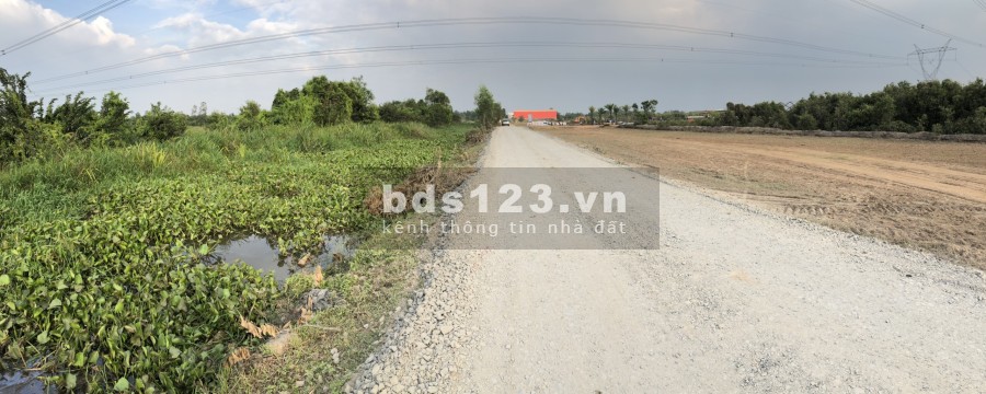 Đất Nền Trung tâm Khu Công Nghiệp Đức Hòa - Long An giá tốt đầu tư, hỗ trợ vay ngân hàng