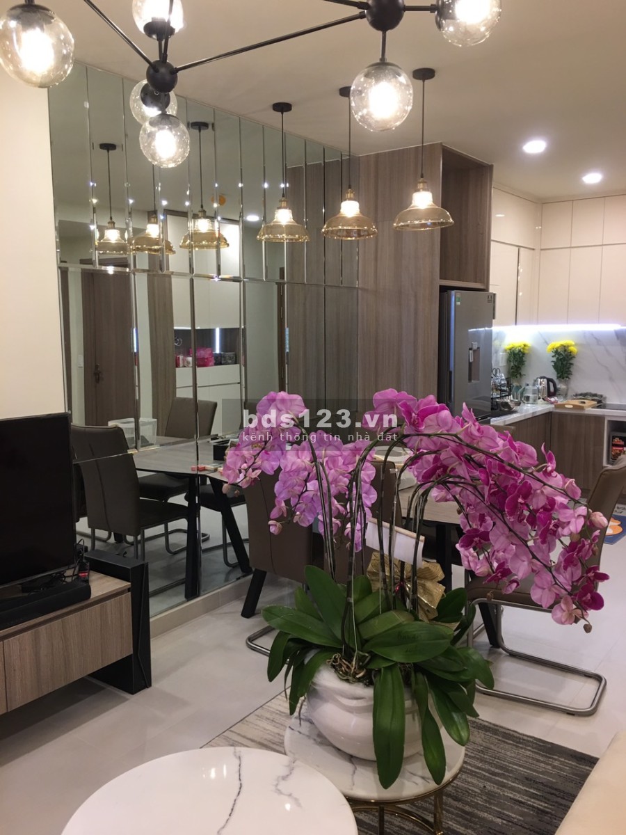 Hot! Ra gấp căn 65 m2 2PN 2WC dự án RichStar đường Hòa Bình - Tô Hiệu giá tốt nhất 0906847066
