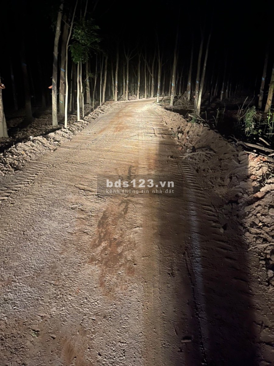 Bán lô đất sào tại Tân Hưng, Đồng Phú, Bình Phước đường lớn, xe ra vào thoải mái, sổ sẵn