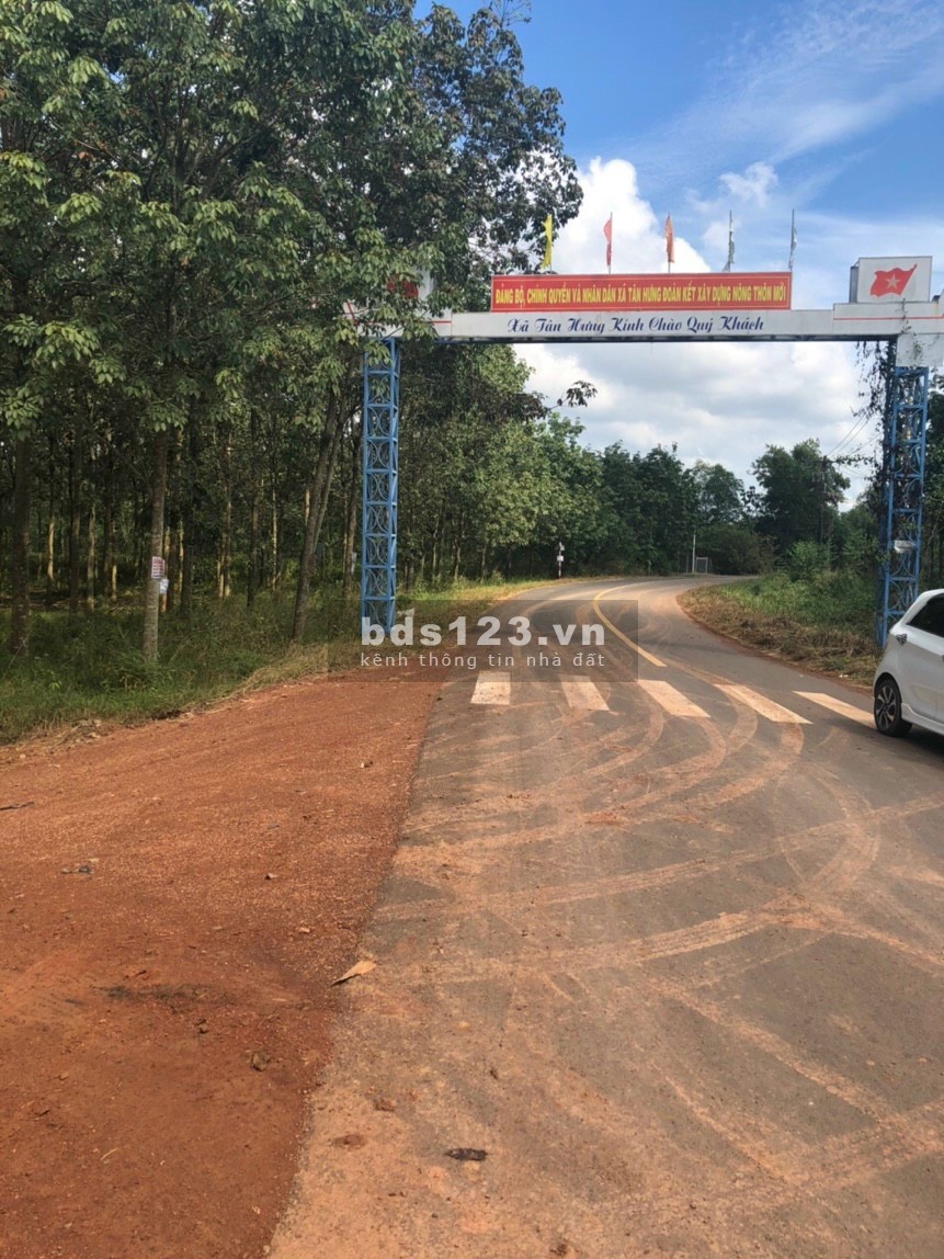Bán lô đất sào tại Tân Hưng, Đồng Phú, Bình Phước đường lớn, xe ra vào thoải mái, sổ sẵn