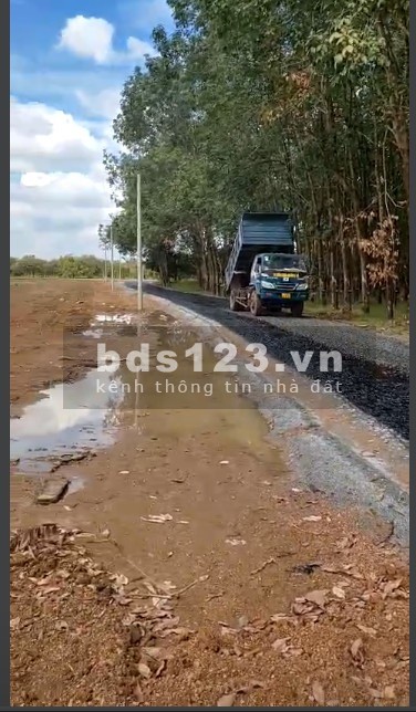 Bán lô đất sào tại Tân Hưng, Đồng Phú, Bình Phước đường lớn, xe ra vào thoải mái, sổ sẵn