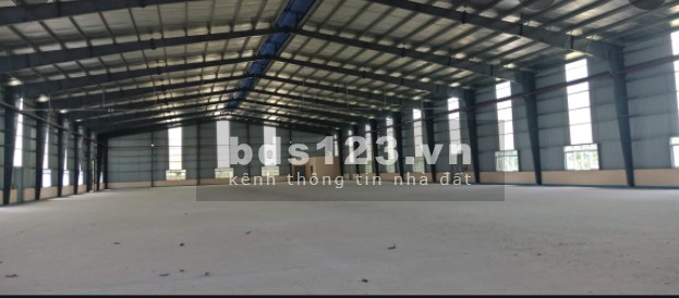 Cần cho thuê kho Gò Vấp Nguyễn Văn Lượng dtsd 2500m2 xe cont vào tận kho, Pccc