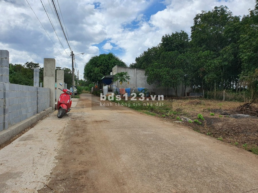 Đất Sào Phước Bình 1026m2 ( 24X43), Cạnh Đường Dẫn Lên Sân Bay, Đất Phủ Hồng