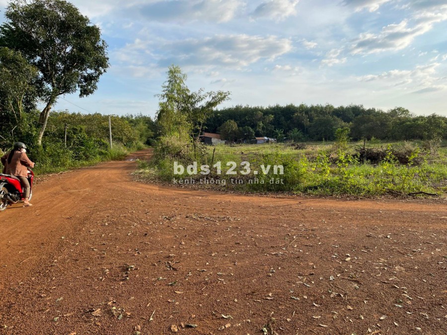 Đất Sào Phước Bình 1026m2 ( 24X43), Cạnh Đường Dẫn Lên Sân Bay, Đất Phủ Hồng