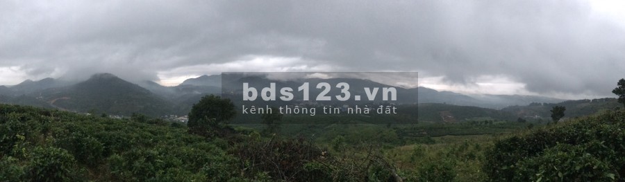 Cần bán vườn 5 Xào 9 Lộc Châu Diện Tích Thực 6 xào 7 giá bán chỉ 2.35 tỷ, lh 0866444117