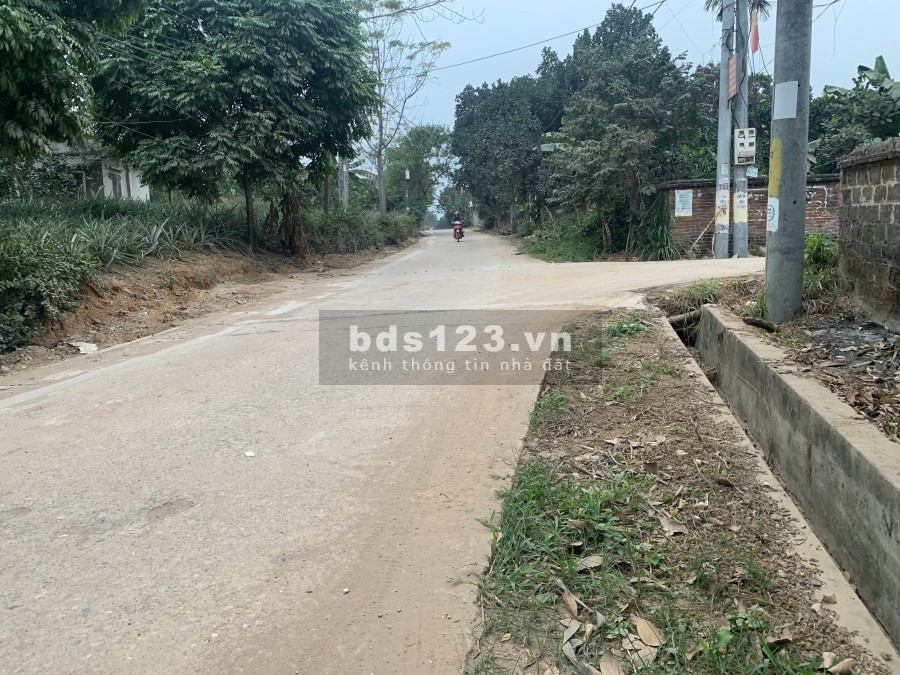 Bán 1700m2 đất chính chủ tại Kim Sơn - Sơn Tây pháp lý đầy đủ, bàn giao công chứng sang tên ngay