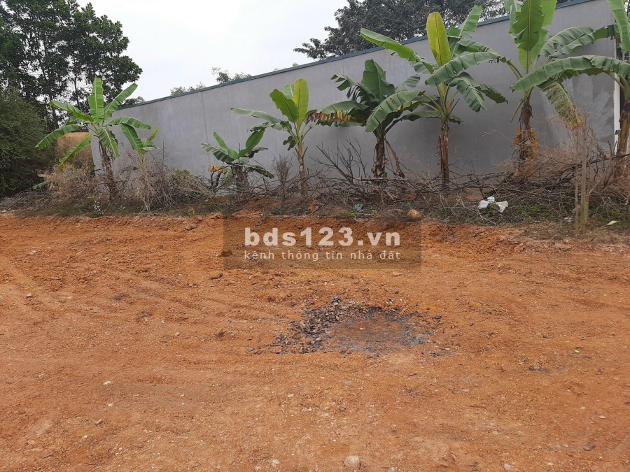 Bán đất nền, đất phân lô thuộc xã xuân sơn, phường Xuân Khanh, thị xã Sơn Tây sổ chính chủ