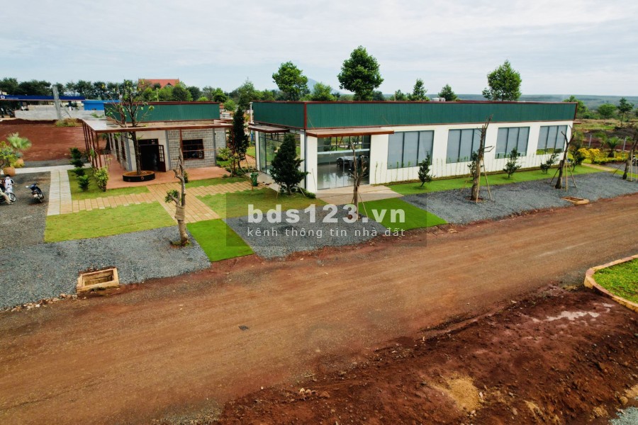 Với 800tr sở hữu ngay lô đất biệt thự 300m2 Felicia City Bình Phước mặt tiền đường lộ 60m