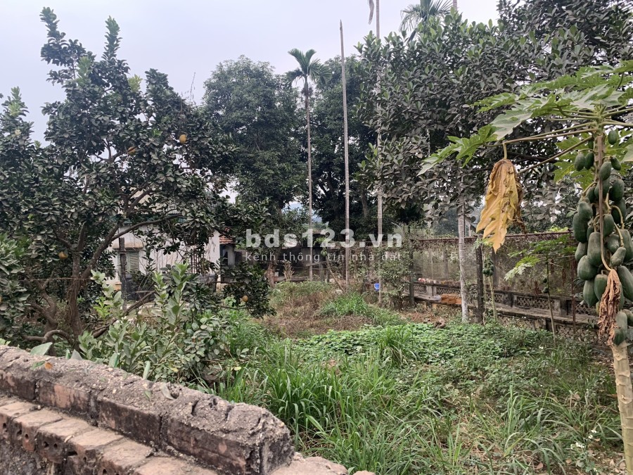 Bán 1700m2 đất chính chủ tại Kim Sơn - Sơn Tây pháp lý đầy đủ, bàn giao công chứng sang tên ngay
