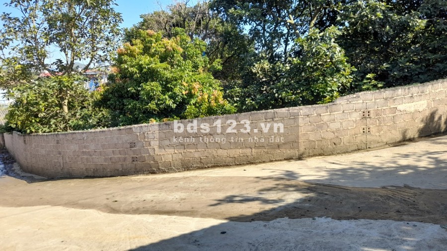Chính chủ cần bán lô đất trung tâm nông trường Mộc Châu, diện tích 510m2, giá siêu rẻ