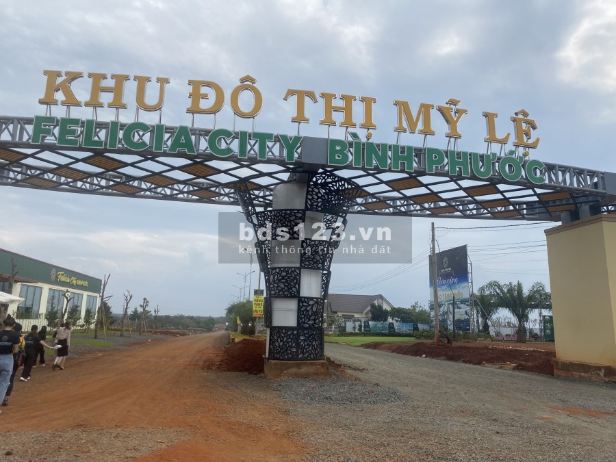 Với 800tr sở hữu ngay lô đất biệt thự 300m2 Felicia City Bình Phước mặt tiền đường lộ 60m