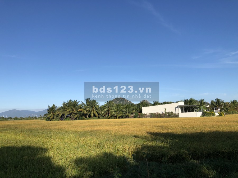 Sở hữu ngay lô đất trung tâm Phan Rang giá chốt 249 triệu liên hệ xem đất 0968893062
