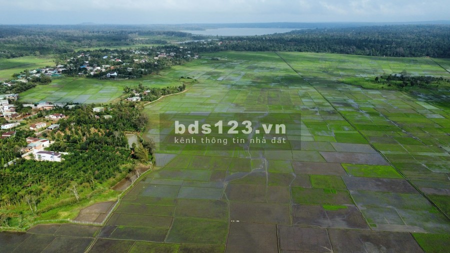 Bán đất nền sổ đỏ liền kề FLC Dak Lak giá chỉ từ 8 triệu/m2, khu dân cư hiện hữu, giá tốt