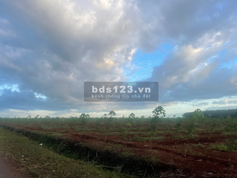 Bán đất mặt tiền đường nhựa 12m tại Đồng Phú giá ngộp giá bán tiện đầu tư sinh lời