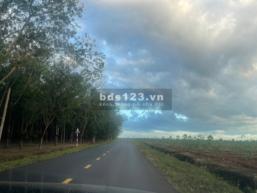 Bán đất mặt tiền đường nhựa 12m tại Đồng Phú giá ngộp giá bán tiện đầu tư sinh lời