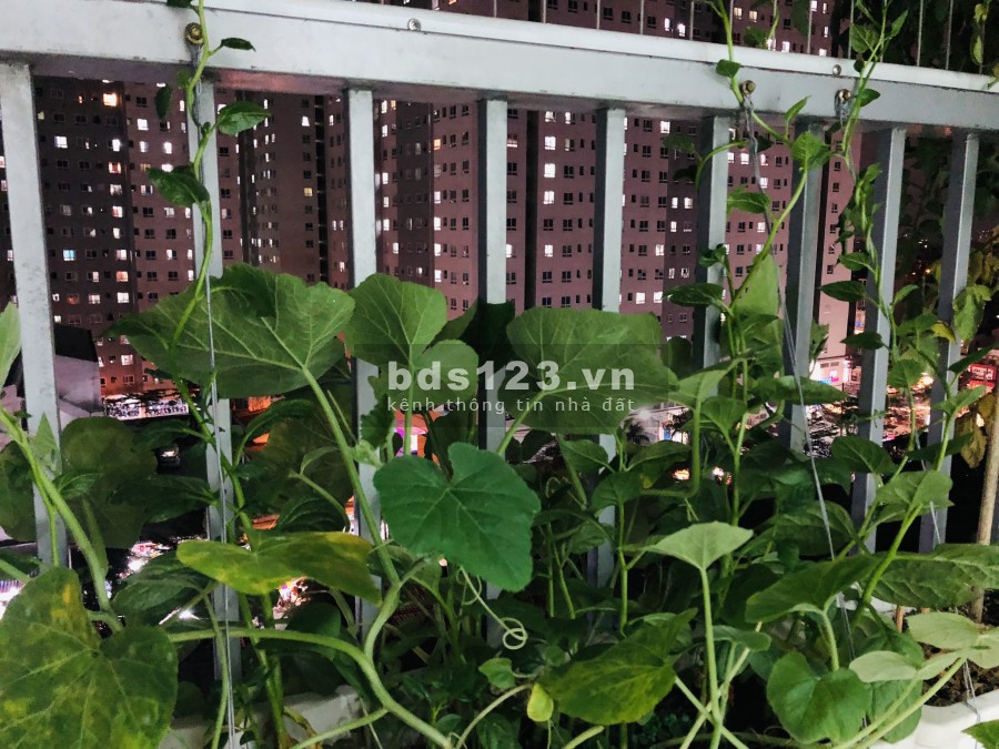 Chính chủ cho thuê căn hộ Prosper Plaza có sẵn nội thất tiện ích đầy đủ, vào ở được ngay