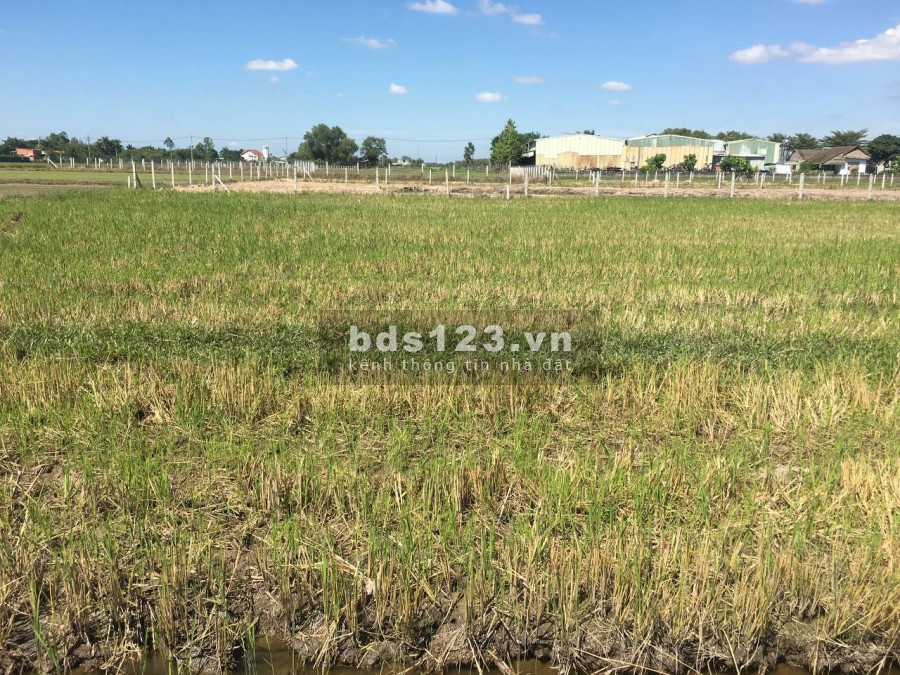 Bán đất mặt tiền đường nhựa ở Củ Chi liên hệ 0901641334, sổ chính chủ, làm việc trực tiếp