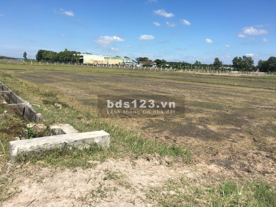 Bán đất mặt tiền đường nhựa ở Củ Chi liên hệ 0901641334, sổ chính chủ, làm việc trực tiếp