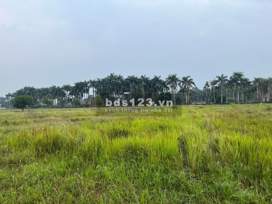Cần bán đất vườn Tân Phú Trung, diện tích sử dụng 510m2, giá bán chỉ 1 tỷ 275 triệu