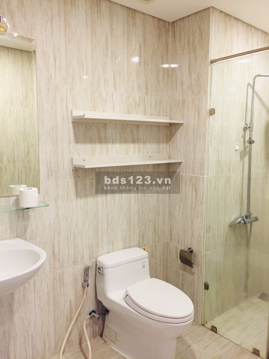 Cho thuê căn hộ cao cấp The Golden Star, 2 PN, 2 WC, Full NT, đối diện BigC, gần Phú Mỹ Hưng