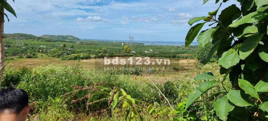 Đất đối diện khu công nghiệp Định Quán giá 3 tỷ, đất nhà không qua môi giới, giá tốt
