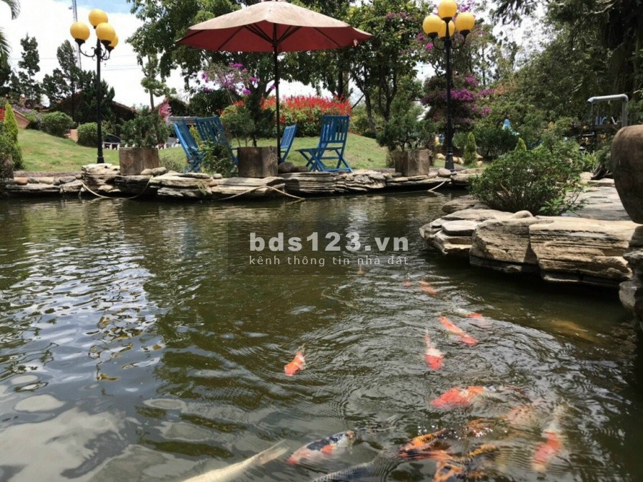 Chính thức mở bán khu dân cư trung tâm hành chính trung tâm Đinh Văn Lâm Hà