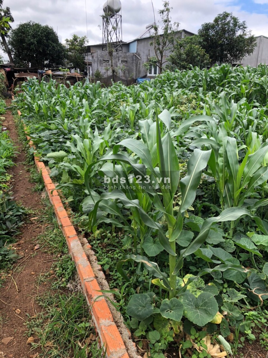 Cần bán gấp hạ giá lô đất ngay đường Y Wang hẻm đối diện kho Bình Hà vào 200m, giá tốt