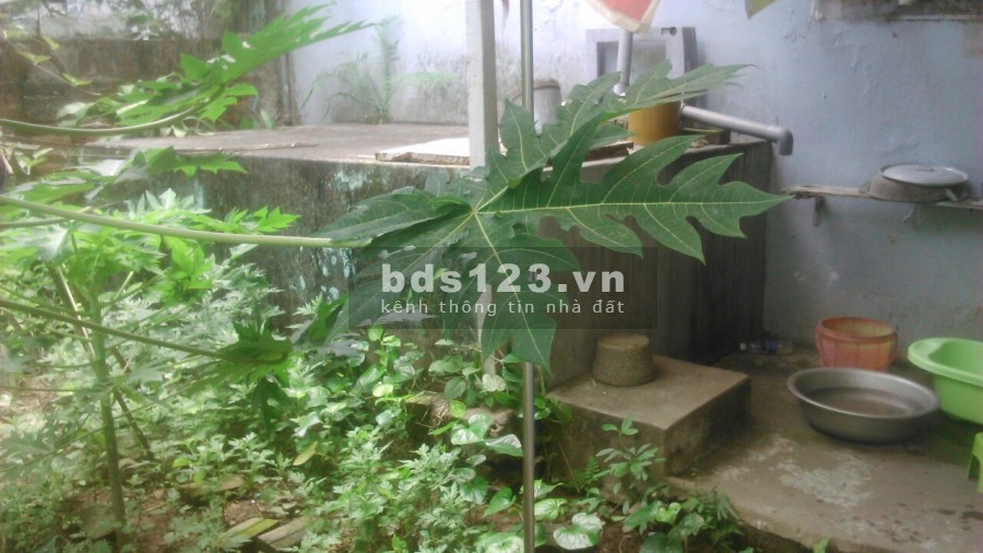 Cho thuê nhà riêng có vườn trồng rau khu dân cư đông đúc tiện ích đầy đủ, bao rộng thoáng