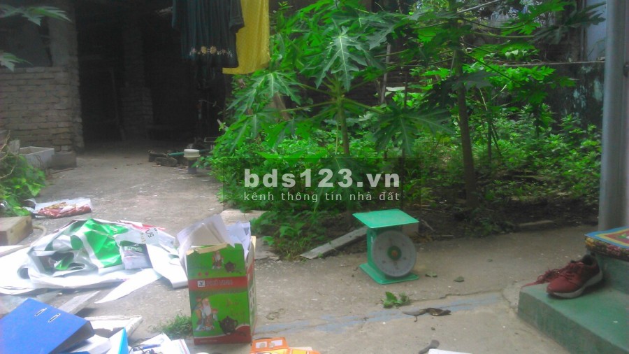 Cho thuê nhà riêng có vườn trồng rau khu dân cư đông đúc tiện ích đầy đủ, bao rộng thoáng
