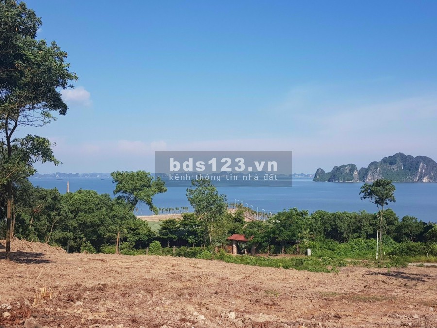 Bán cắt lỗ lô đất nền biệt thự Tuần Châu diện tích hơn 500m2, liên hệ 0986302328
