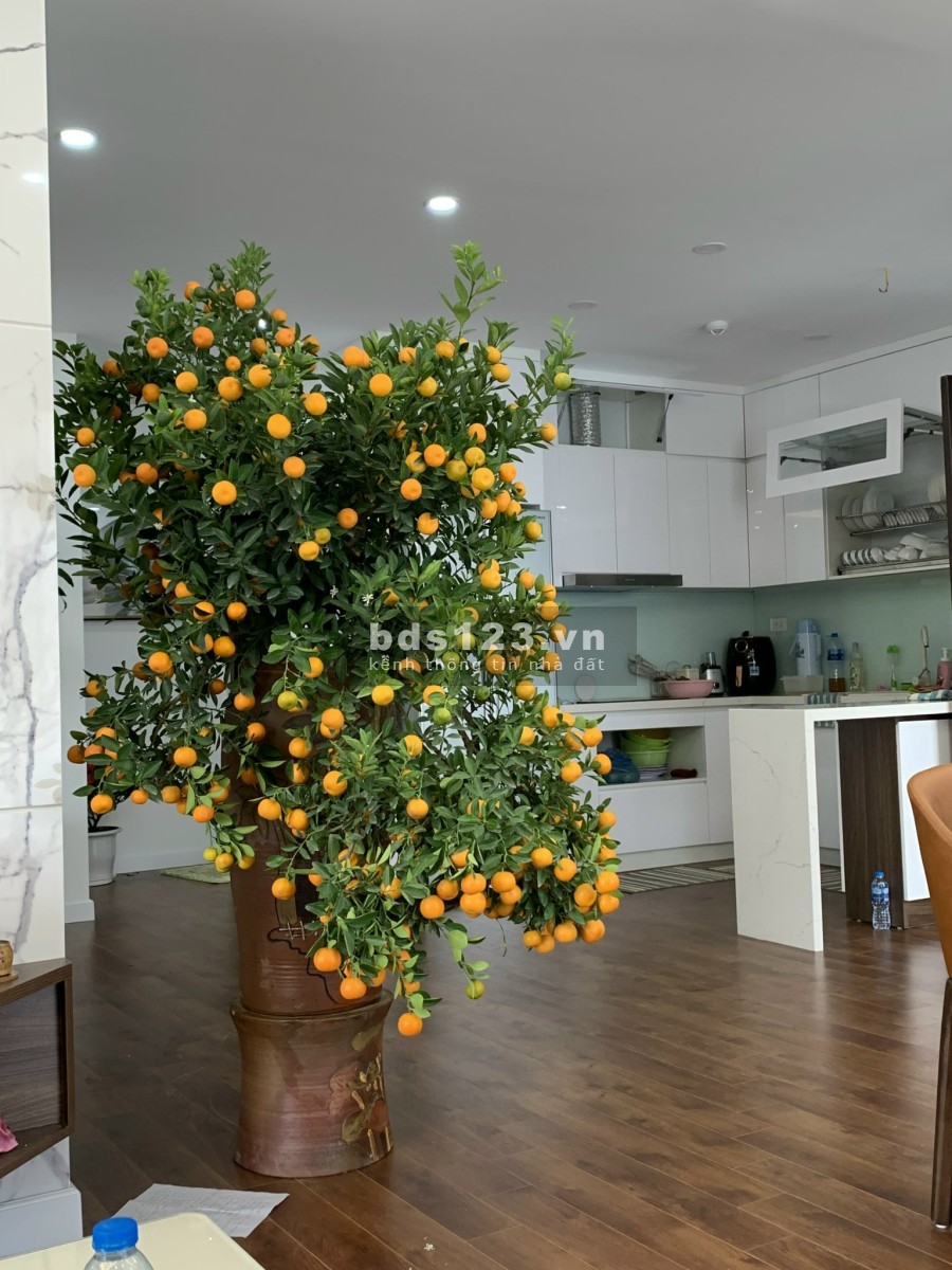 Chính chủ cần bán căn hộ 2 pn dtsd 90m2, đầy đủ nội thất, giá tốt chỉ 36 triệu/m2, ban công đẹp