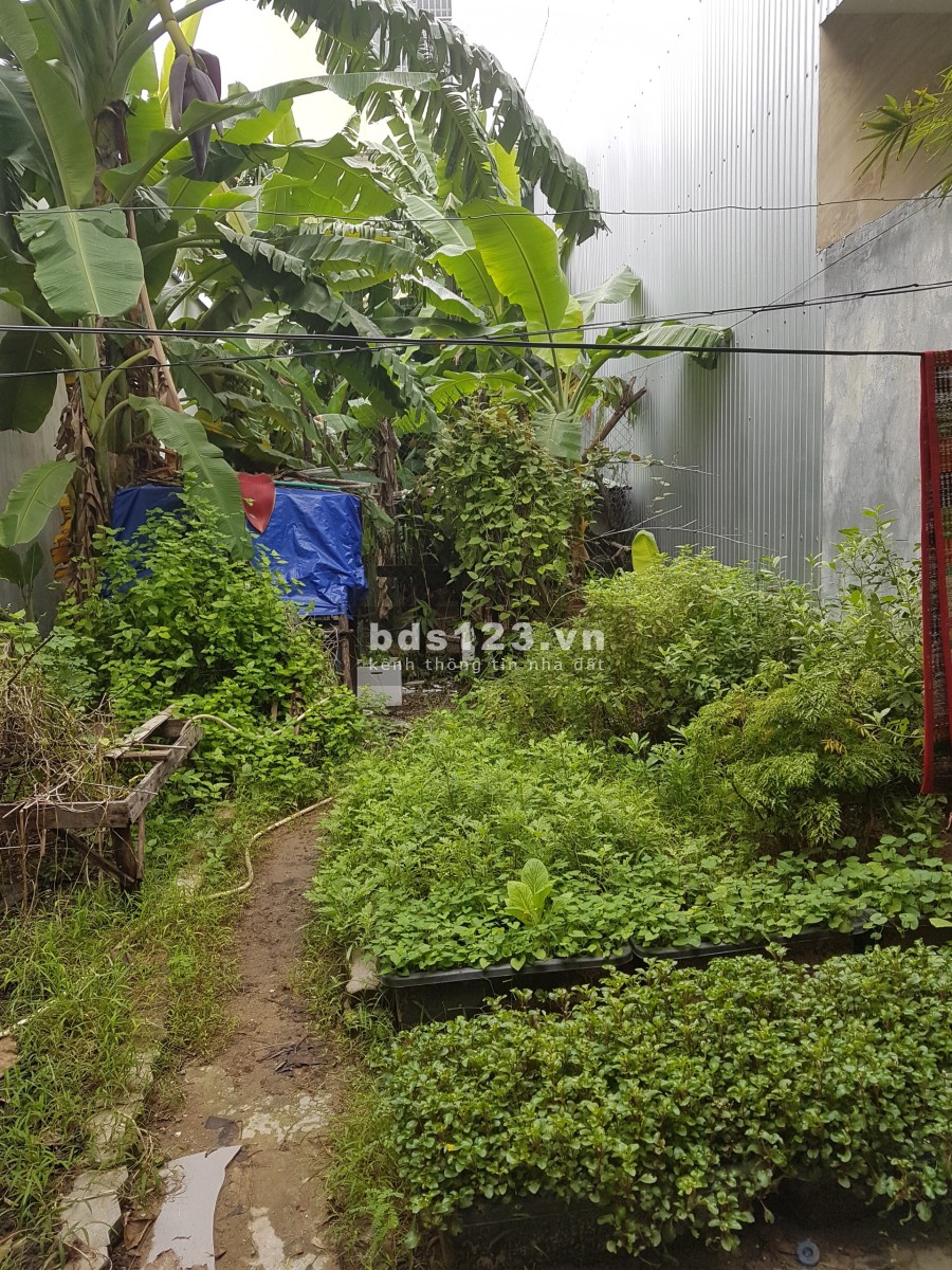 Bán đất mặt tiền đường Chơm Tâm 3- Hòa Khánh Nam Liên Chiểu pháp lý sổ đỏ đầy đủ