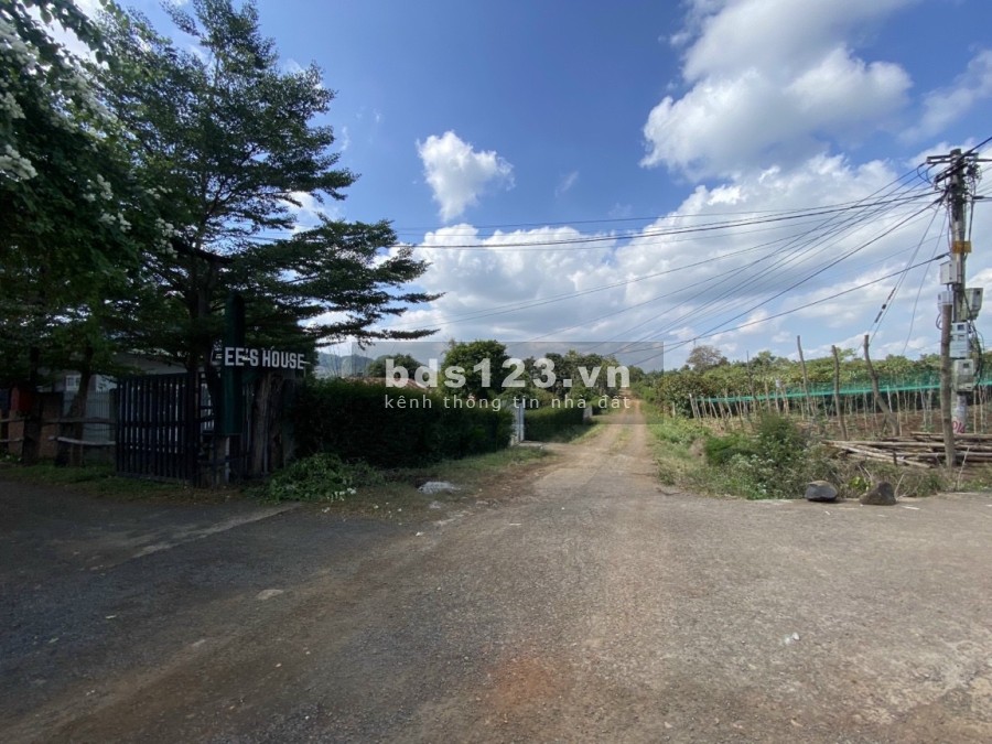 Bán gấp lô đất Ngay sát khu du lịch Lee House - Thôn 8 - Cư Êbur giá đầu tư sinh lời