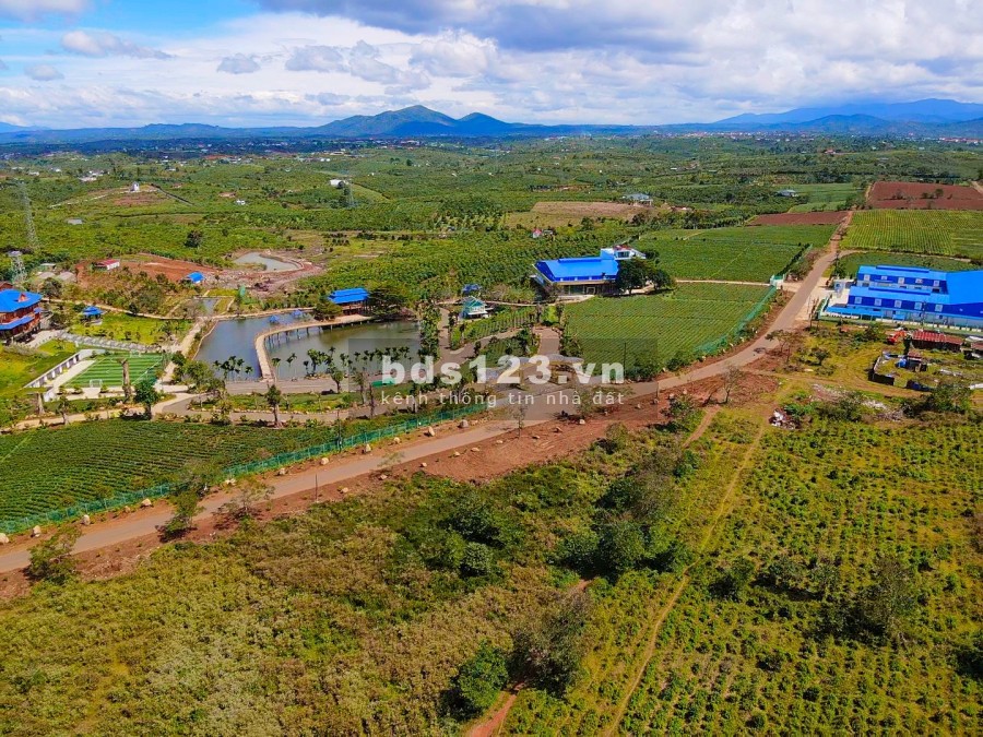 Báo giá đất thổ cư tại Thành phố Bảo Lộc pháp lý an toàn, đầu tư sinh lời cao, sổ sẵn