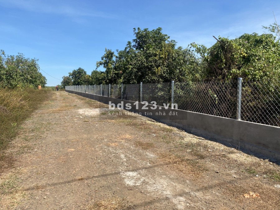 Cần tiền cần bán lô đất vườn vuông vắn pháp lý rõ ràng, giá tốt, khu vực tiềm năng, lhcc