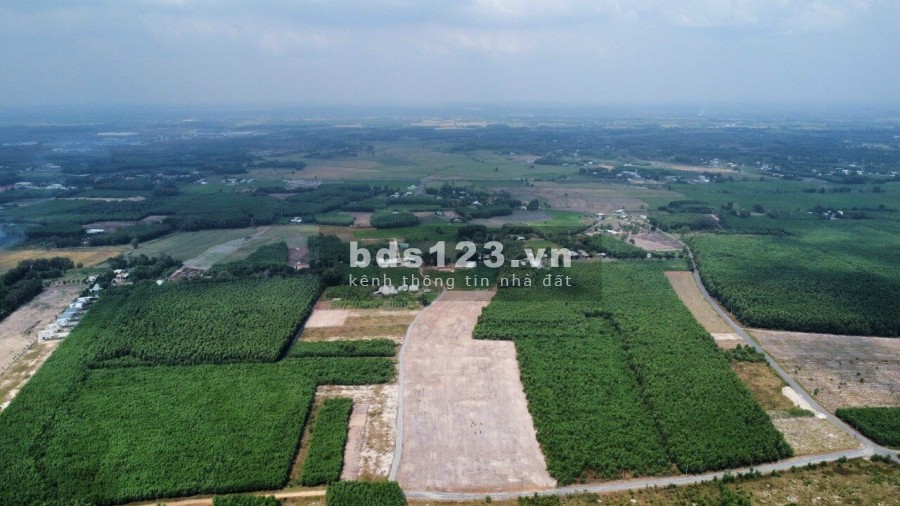 Cần bán đất Láng Dài, Đất Đỏ cách sân bay 500m, sổ sẵn, giá siêu rẻ