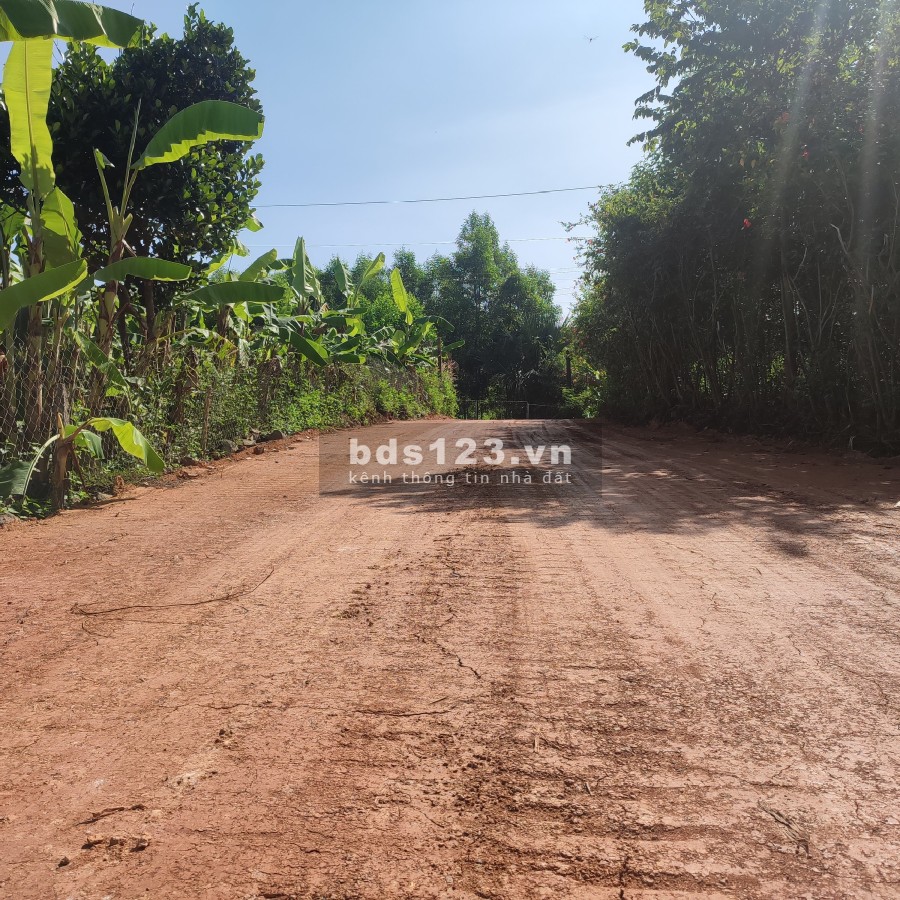 Đất vườn view hồ Vĩnh Tân, Vĩnh Cửu cách khu công nghiệp Sông Mây 4km