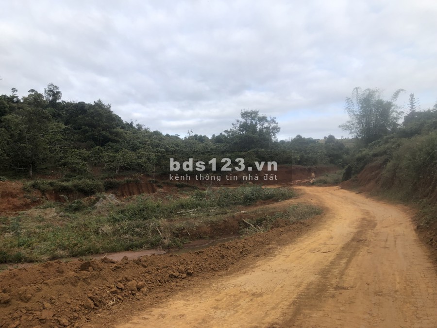 Bán đất rẫy view Hồ trung tâm thành phố Gia Nghĩa pháp lý chính chủ, làm việc nhanh gọn