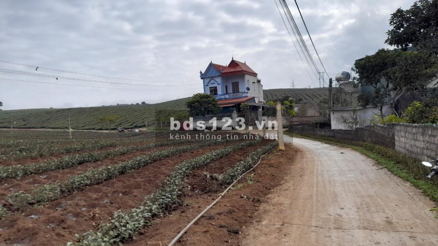 Bán đất tiểu khu 68, TTNT Mộc Châu diện tích 343m2 trong đó có 120m2 thổ cư